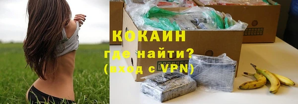 трава Белокуриха
