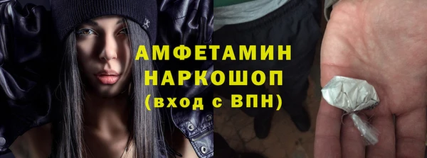 трава Белокуриха