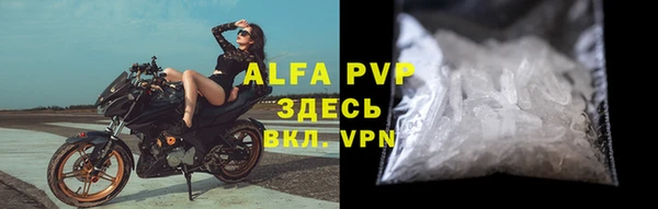 трава Белокуриха