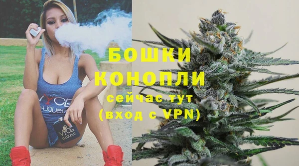 трава Белокуриха