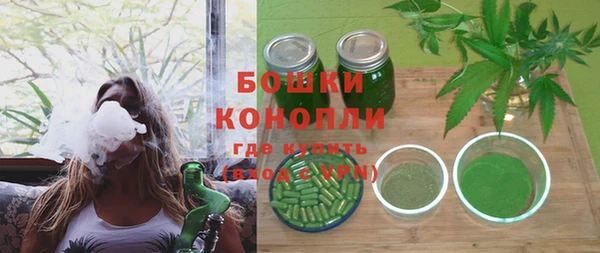 трава Белокуриха