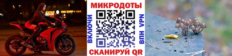 Галлюциногенные грибы GOLDEN TEACHER  как найти закладки  Высоковск 