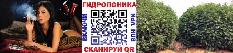 Конопля семена  Высоковск 